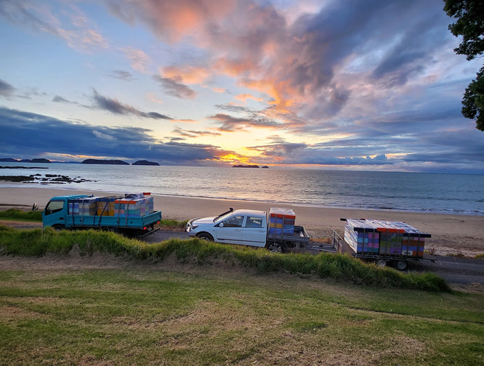 <h5><span style="text-decoration:underline">Beekeeping &amp; Excellence</span></h5><h2> When tradition meets precision.</h2><p> We take care at every stage of the process: from choosing pristine locations to the health of the bees, from harvesting to the careful packaging of each jar.</p><p> For us, it's not just about producing honey. It's about doing things right — with patience, respect, and a quiet but constant commitment.</p>