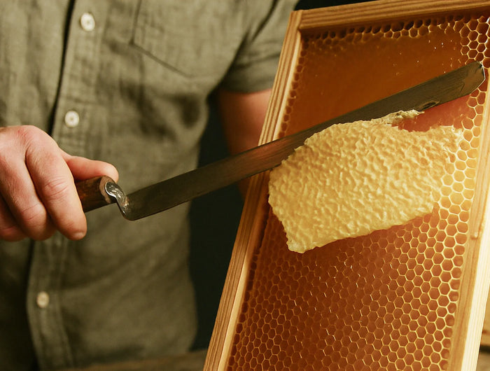 <h5><span style="text-decoration:underline">Harvesting &amp; Sustainability</span></h5><h2> Clean methods. Preserved land. Pure honey.</h2><p> Our practices are sustainable and low-impact, designed to protect both bees and their environment.</p><p> Each jar is tested and certified according to UMF and MGO standards, and contains only pure Manuka honey — just as nature intended.</p>